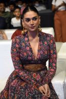 aditiraohydari10.jpg