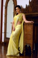 Honey-Rose-in-Saree-stills-4.jpg