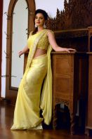 Honey-Rose-in-Saree-stills-5.jpg