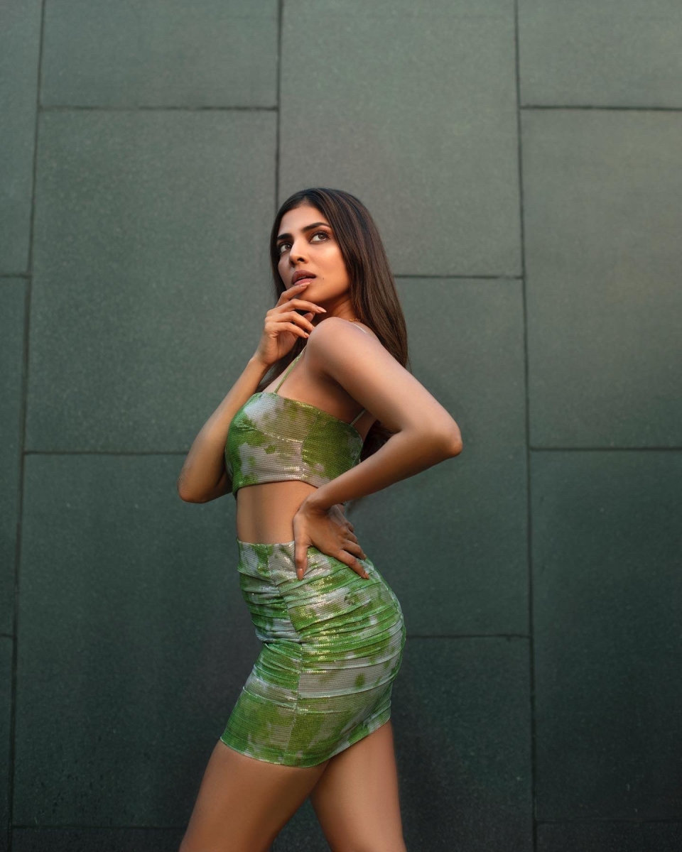 Actress  Malavika Mohan Photoshoot Gallery