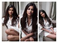 Nabha_Natesh__Phototastic_Collage.jpg