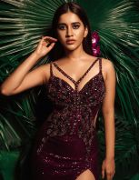 glamorous-nabhanatesh1.jpg