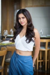 nabha-natesh-heroine1006.jpg