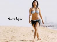Actress_Neeru_Bajwa_8.jpg
