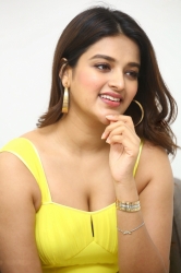 nidhhi-agerwal-hero-interview4.jpg