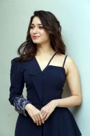 Tamanna-Bhatia-at-f2-movie-trailer-launch-10.jpg