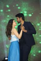 tamanna-bhatia-at-Next-enti-pre-release-10.jpg